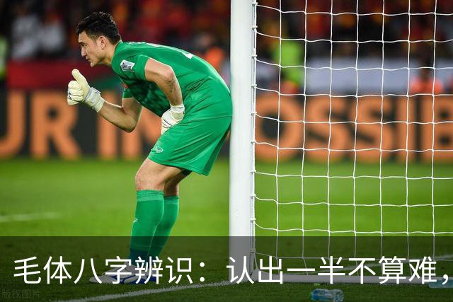 毛体八字辨识：认出一半不算难，读懂这三处笔意才是真功夫